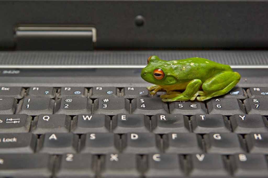 Leap Frog website design